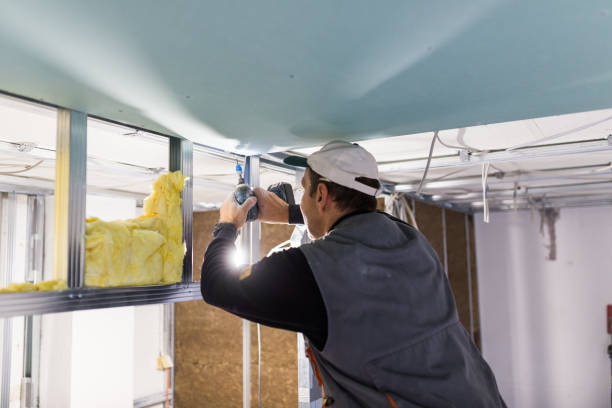 Insulation Contractors for Homes in Forty Fort, PA