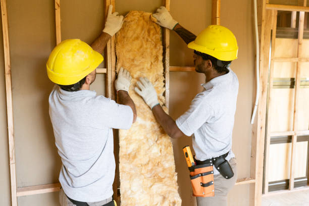 Best Insulation Contractor Near Me  in Forty Fort, PA