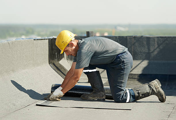 Best Insulation Contractors for Homes  in Forty Fort, PA