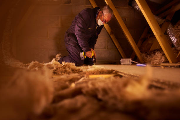Insulation Inspection Services in Forty Fort, PA